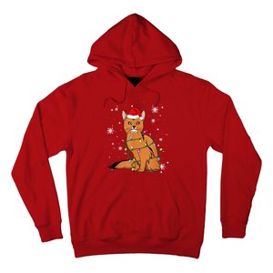 Somali Cat Christmas Lights Christmas Cat Santa Hat Hoodie