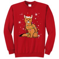 Somali Cat Christmas Lights Christmas Cat Santa Hat Sweatshirt