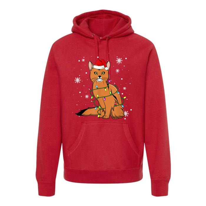 Somali Cat Christmas Lights Christmas Cat Santa Hat Premium Hoodie