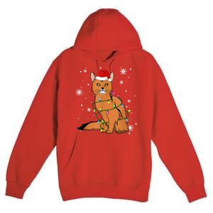 Somali Cat Christmas Lights Christmas Cat Santa Hat Premium Pullover Hoodie