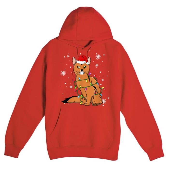 Somali Cat Christmas Lights Christmas Cat Santa Hat Premium Pullover Hoodie