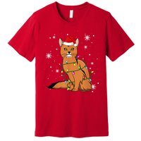 Somali Cat Christmas Lights Christmas Cat Santa Hat Premium T-Shirt