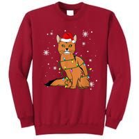 Somali Cat Christmas Lights Christmas Cat Santa Hat Tall Sweatshirt