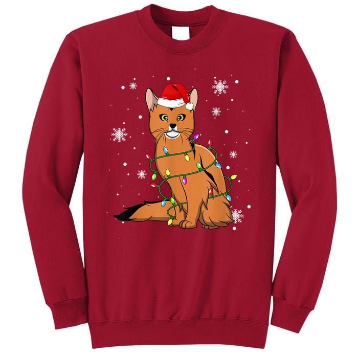 Somali Cat Christmas Lights Christmas Cat Santa Hat Tall Sweatshirt