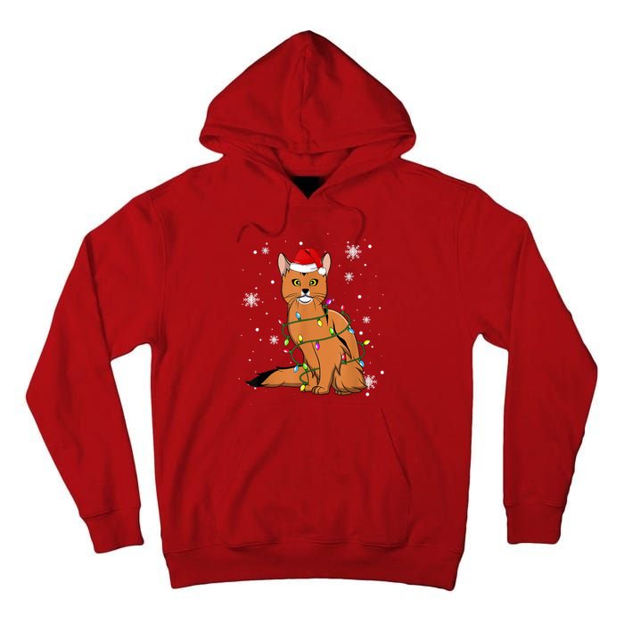 Somali Cat Christmas Lights Christmas Cat Santa Hat Tall Hoodie