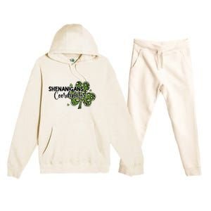 Shenanigans Coordinator Cute Gift Funny St Patricks Day Teacher Funny Gift Premium Hooded Sweatsuit Set