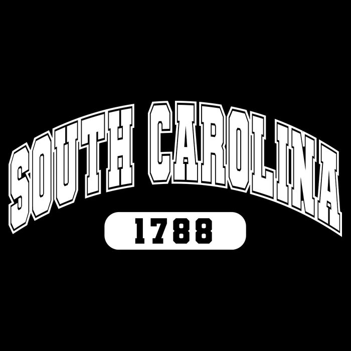 South Carolina Collegiate Style 1788 16 in Basic Backpack