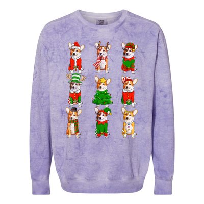 Santa Corgi Christmas Tree Lights Elf Reindeer Dog Lover Colorblast Crewneck Sweatshirt