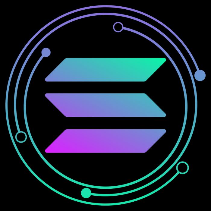 Solana Crypto Coin Currency 16 in Basic Backpack