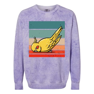 Sleeping Cockatiel Cute Factor Birds Animal Nature Relaxing Colorblast Crewneck Sweatshirt