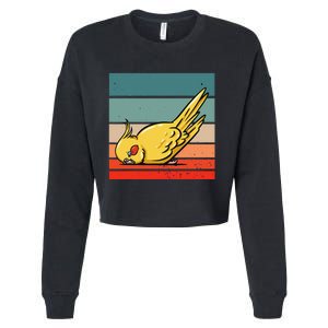 Sleeping Cockatiel Cute Factor Birds Animal Nature Relaxing Cropped Pullover Crew