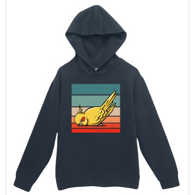 Sleeping Cockatiel Cute Factor Birds Animal Nature Relaxing Urban Pullover Hoodie