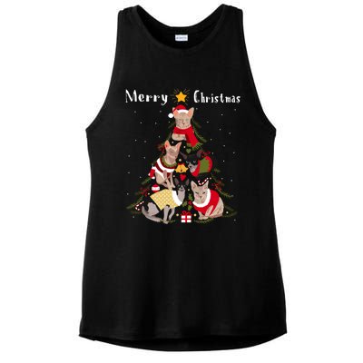 Sphynx Cat Christmas Tree Xmas Cat Lover Ladies PosiCharge Tri-Blend Wicking Tank