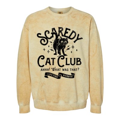 Scaredy Cat Club Ah What Was That Lifetime Member Black Cat Colorblast Crewneck Sweatshirt