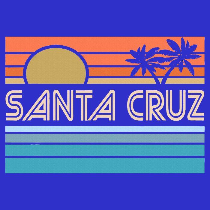 Santa Cruz California Sunset 70s 80s Surfer Summer Hoodie