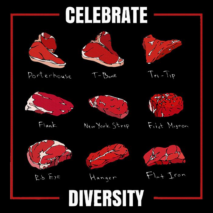 Steak Celebrate Diversity Types Of Steak Lovers Premium T-Shirt