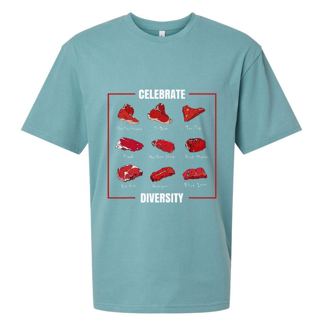 Steak Celebrate Diversity Types Of Steak Lovers Sueded Cloud Jersey T-Shirt