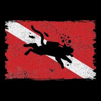Scuba Cat Diving Flag Vintage Cats Diver Dive Funny Minimal Crop Top