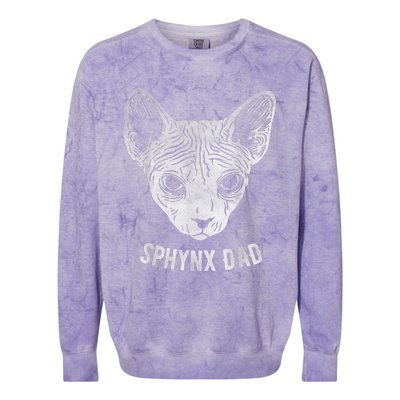 Sphynx Cat Dad Colorblast Crewneck Sweatshirt