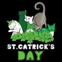 St Catricks Day Irish Cat Lover St Patricks Gift Drawstring Bag