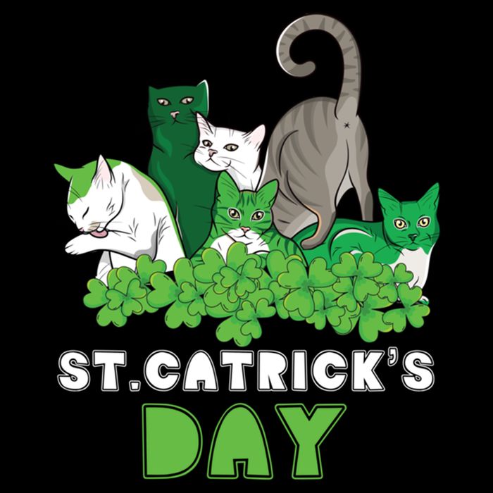 St Catricks Day Irish Cat Lover St Patricks Gift Drawstring Bag