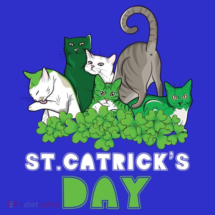 St Catricks Day Irish Cat Lover St Patricks Gift Stripe Pom Pom Beanie