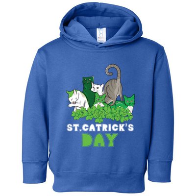 St Catricks Day Irish Cat Lover St Patricks Gift Toddler Hoodie
