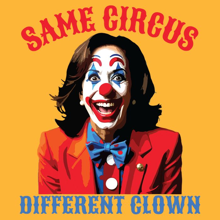 Same Circus Different Clown Funny Kamala Clown 2024 Pom Pom 12in Knit Beanie