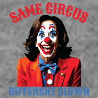 Same Circus Different Clown Funny Kamala Clown 2024 Toddler Hoodie