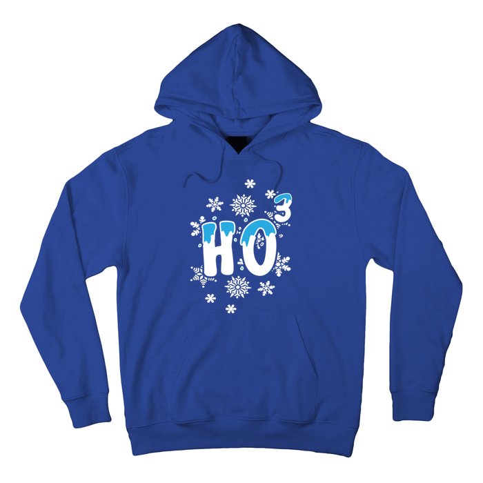 Science Christmas Design Ho Ho Ho Teacher Great Gift Hoodie