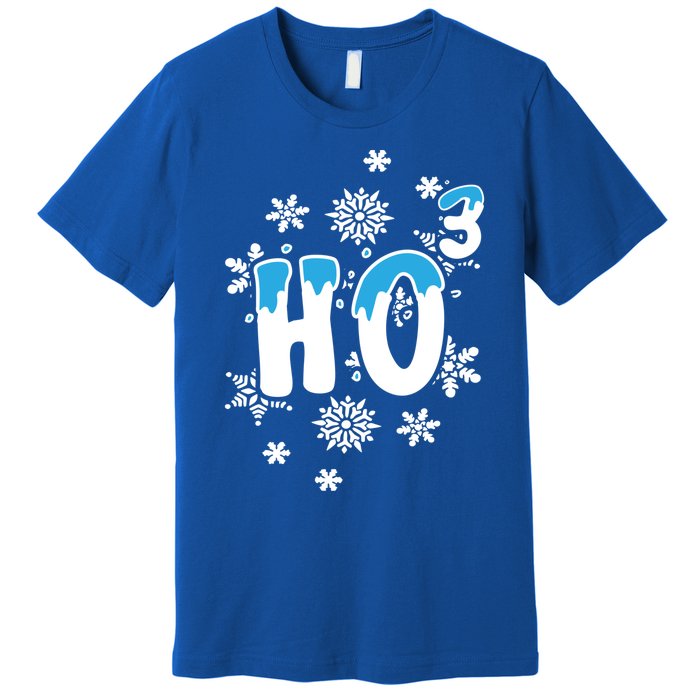 Science Christmas Design Ho Ho Ho Teacher Great Gift Premium T-Shirt