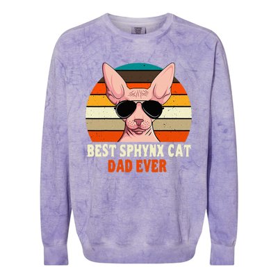 Sphynx Cat Dad Owner Breeder Hairless Pet Lover FatherS Day Colorblast Crewneck Sweatshirt