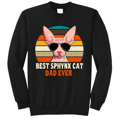 Sphynx Cat Dad Owner Breeder Hairless Pet Lover FatherS Day Sweatshirt