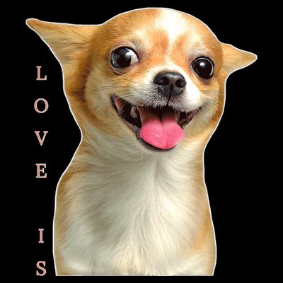 S Chihuahua Dog Mom Dad Love Pet Puppy Chiuauaha T-Shirt