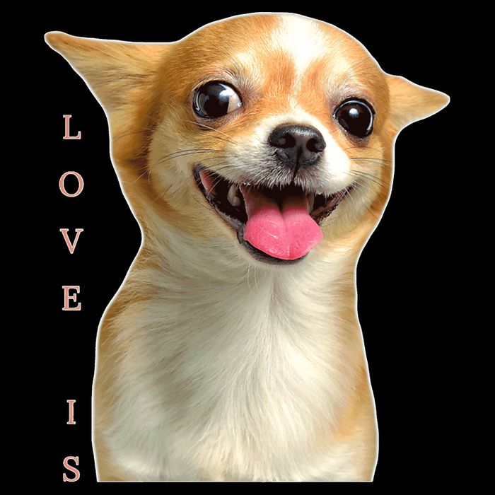S Chihuahua Dog Mom Dad Love Pet Puppy Chiuauaha 16 in Basic Backpack