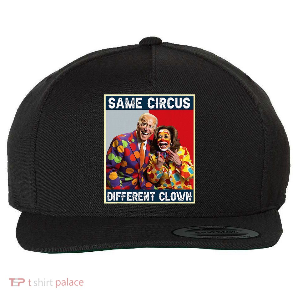 Same Circus Different Clown Wool Snapback Cap