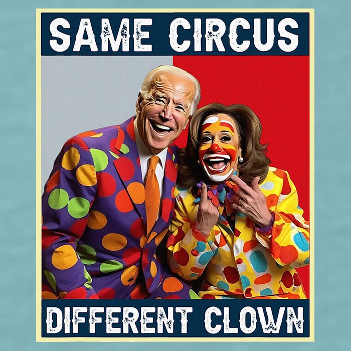 Same Circus Different Clown Sueded Cloud Jersey T-Shirt