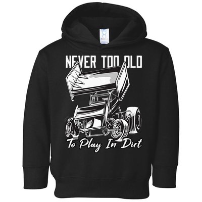 SPRINT CAR DIRT TRACK RACING Play In Dirt Toddler Hoodie
