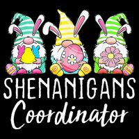 Shenanigans Coordinator Easter Bunny Gnomes Rabbit Eggs Hunt Apron