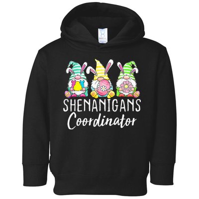 Shenanigans Coordinator Easter Bunny Gnomes Rabbit Eggs Hunt Toddler Hoodie