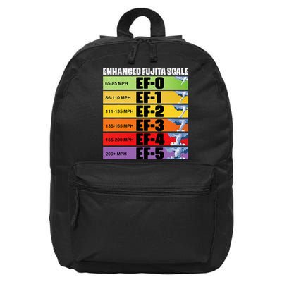 Storm Chasing Enhanced Fujita Scale Tornado Meteorologist 16 in Basic Backpack