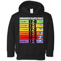 Storm Chasing Enhanced Fujita Scale Tornado Meteorologist Toddler Hoodie