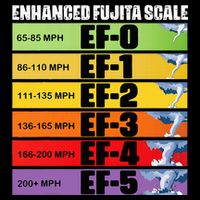 Storm Chasing Enhanced Fujita Scale Tornado Meteorologist Toddler T-Shirt