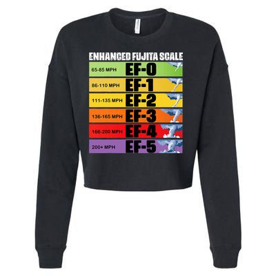 Storm Chasing Enhanced Fujita Scale Tornado Meteorologist Cropped Pullover Crew