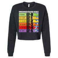 Storm Chasing Enhanced Fujita Scale Tornado Meteorologist Cropped Pullover Crew