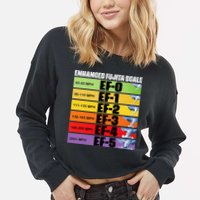 Storm Chasing Enhanced Fujita Scale Tornado Meteorologist Cropped Pullover Crew