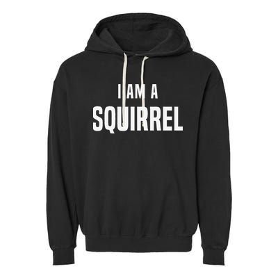 Squirrel Costume Easy Simple Halloween Costumes Garment-Dyed Fleece Hoodie