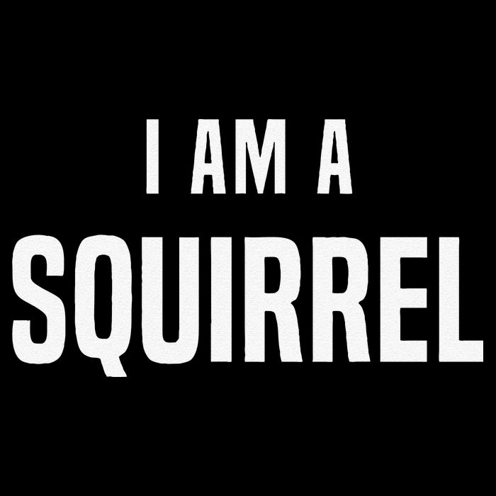 Squirrel Costume Easy Simple Halloween Costumes Cooling Performance Crew T-Shirt