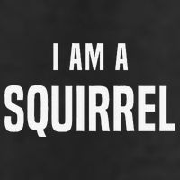 Squirrel Costume Easy Simple Halloween Costumes Adult Drive Performance Visor