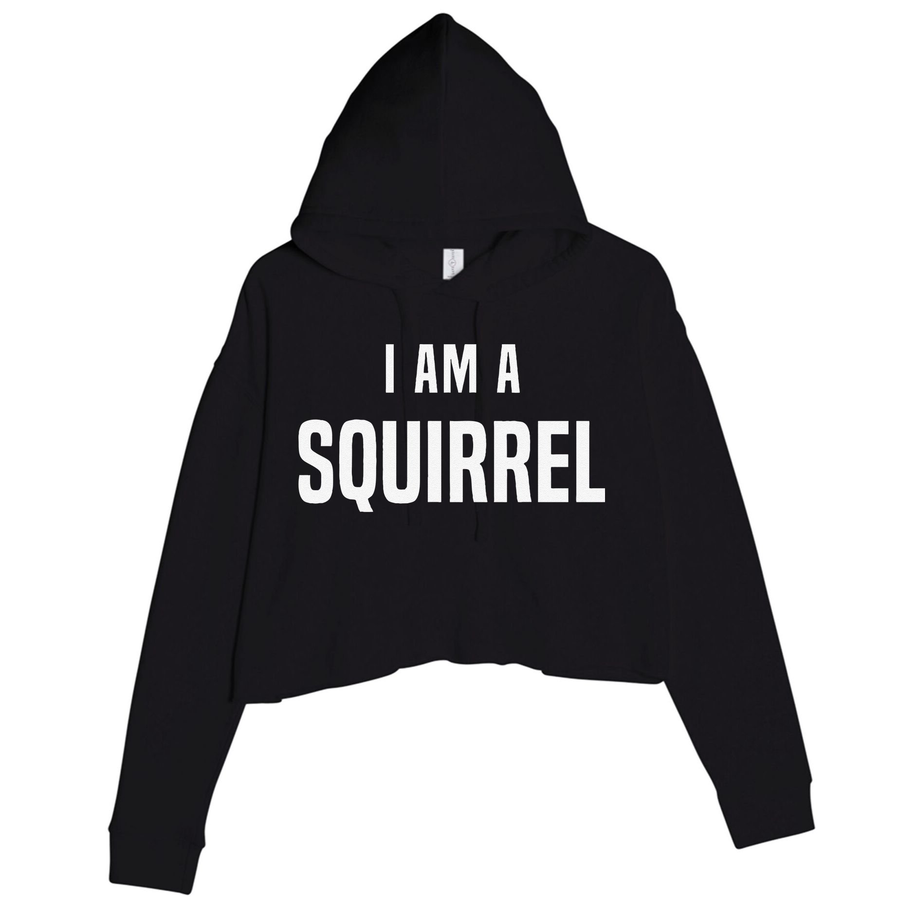 Squirrel Costume Easy Simple Halloween Costumes Crop Fleece Hoodie